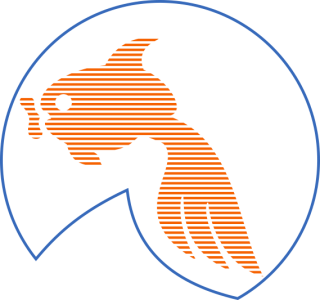 logo ryiba
